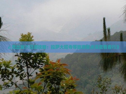 ∠充出发六日游攻略：拉萨大昭寺等旅游景点深度看看行》