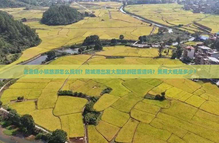 去鲁朗小镇旅游怎么规划？防城港出发大型旅游团靠谱吗？费用大概是多少？