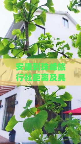 安康到珠峰旅行社距离及具体路线指南