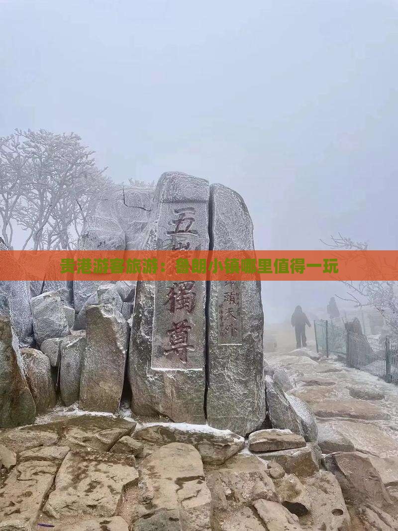 贵港游客旅游：鲁朗小镇哪里值得一玩