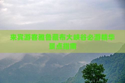 来宾游客雅鲁藏布大峡谷必游精华景点指南