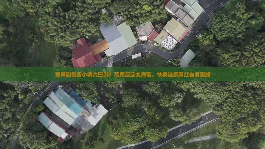 黄冈到鲁朗小镇六日游？高原反应太痛苦，快看这条网红自驾路线