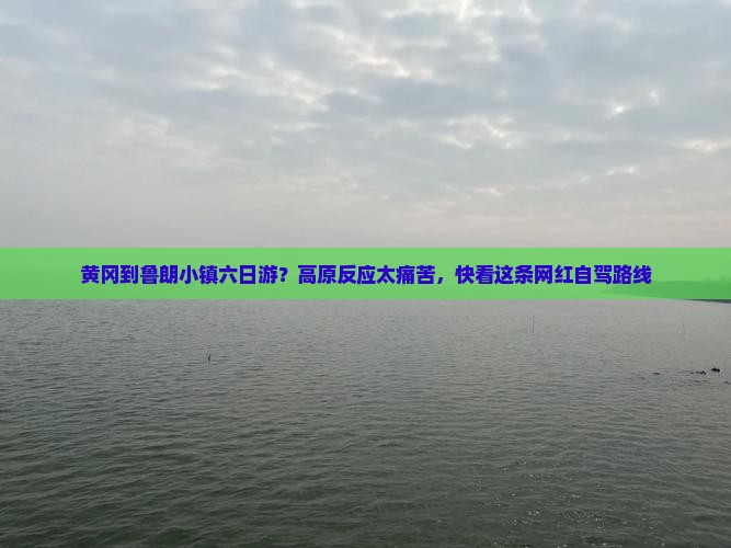黄冈到鲁朗小镇六日游？高原反应太痛苦，快看这条网红自驾路线