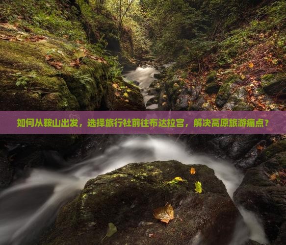 如何从鞍山出发，选择旅行社前往布达拉宫，解决高原旅游痛点？