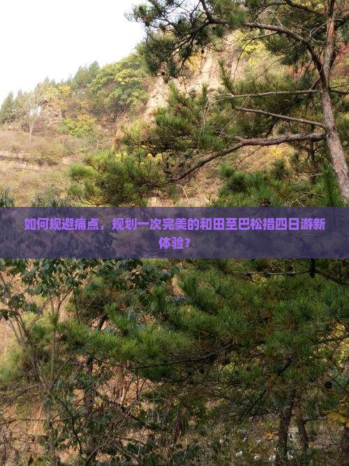 如何规避痛点，规划一次完美的和田至巴松措四日游新体验？