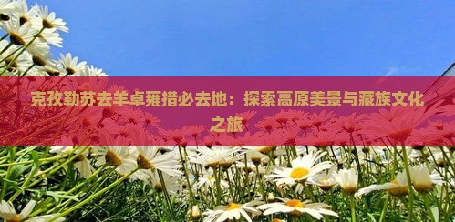 克孜勒苏去羊卓雍措必去地：探索高原美景与藏族文化之旅
