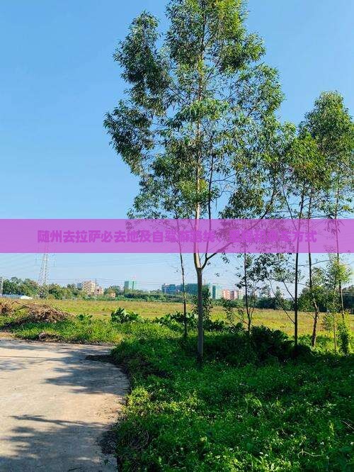 随州去拉萨必去地及自驾游路线、里程和乘车方式