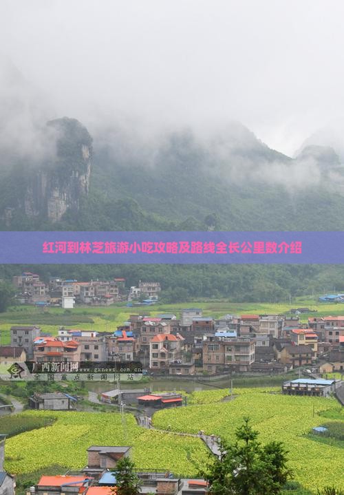红河到林芝旅游小吃攻略及路线全长公里数介绍