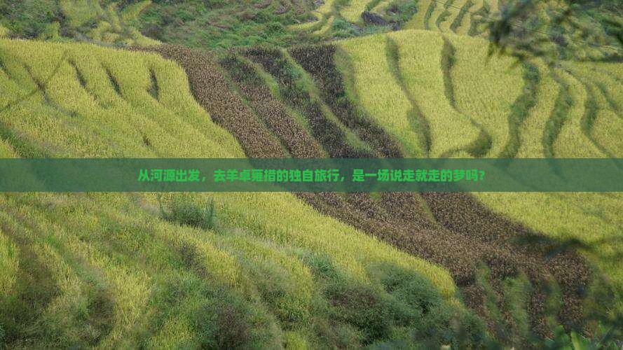 从河源出发，去羊卓雍措的独自旅行，是一场说走就走的梦吗？