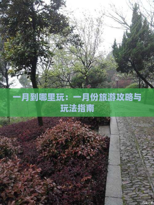 一月到哪里玩：一月份旅游攻略与玩法指南