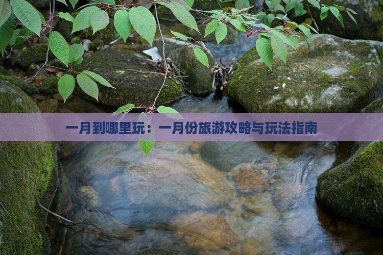 一月到哪里玩：一月份旅游攻略与玩法指南