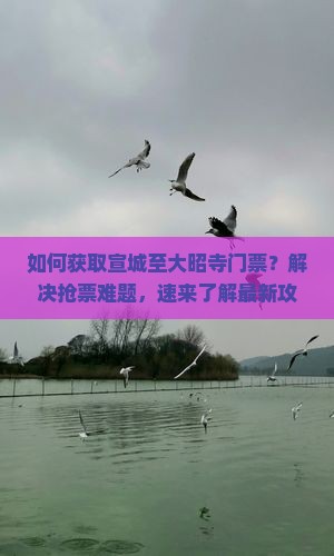 如何获取宣城至大昭寺门票？解决抢票难题，速来了解最新攻略！