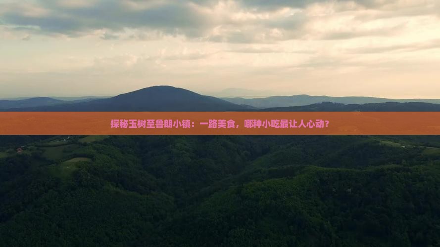 探秘玉树至鲁朗小镇：一路美食，哪种小吃最让人心动？
