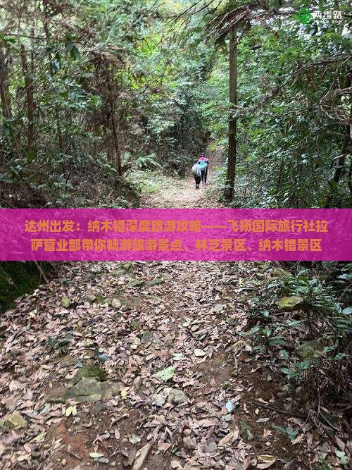 达州出发：纳木错深度旅游攻略——飞扬国际旅行社拉萨营业部带你畅游旅游景点、林芝景区、纳木错景区