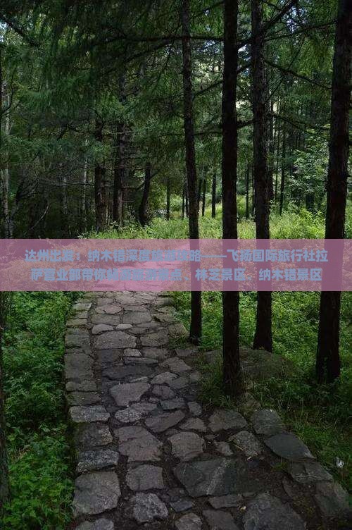 达州出发：纳木错深度旅游攻略——飞扬国际旅行社拉萨营业部带你畅游旅游景点、林芝景区、纳木错景区