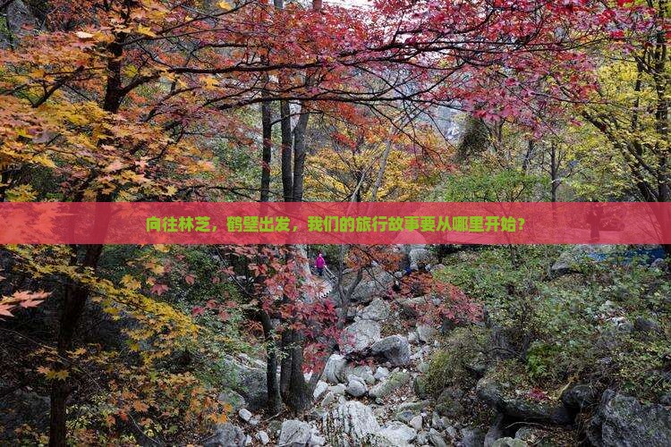 向往林芝，鹤壁出发，我们的旅行故事要从哪里开始？