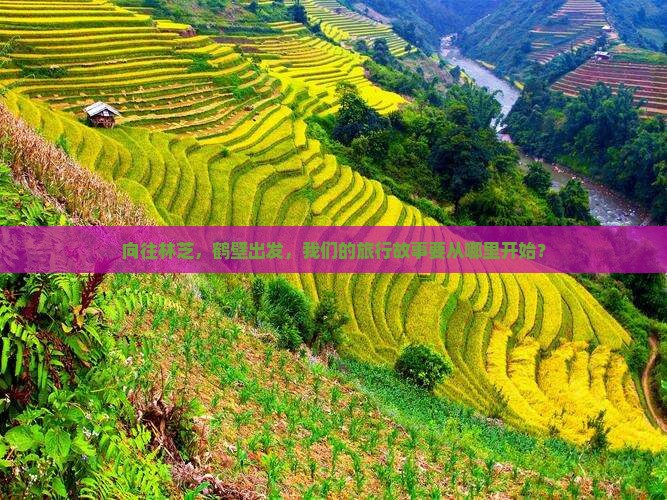 向往林芝，鹤壁出发，我们的旅行故事要从哪里开始？