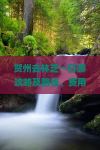 贺州去林芝一日游攻略及路线、费用与距离解析