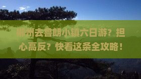 郴州去鲁朗小镇六日游？担心高反？快看这条全攻略！