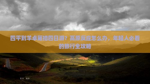四平到羊卓雍措四日游？高原反应怎么办，年轻人必看的旅行全攻略