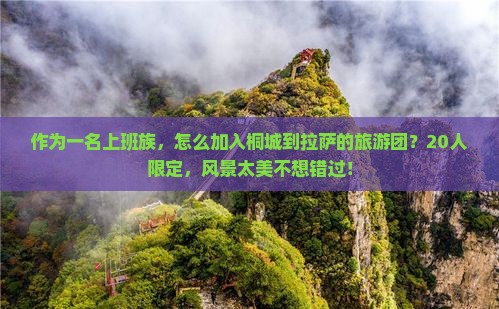 作为一名上班族，怎么加入桐城到拉萨的旅游团？20人限定，风景太美不想错过！