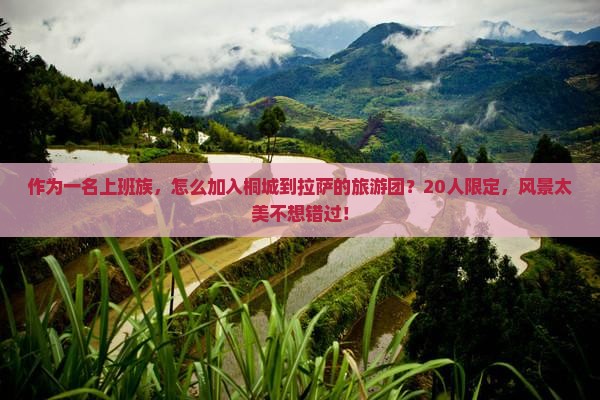 作为一名上班族，怎么加入桐城到拉萨的旅游团？20人限定，风景太美不想错过！