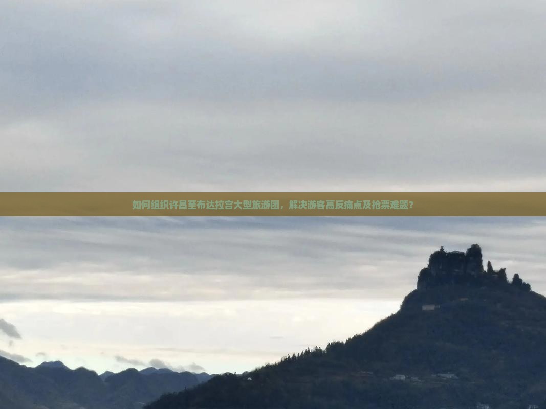 如何组织许昌至布达拉宫大型旅游团，解决游客高反痛点及抢票难题？