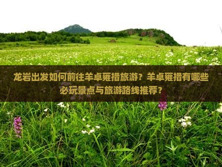 龙岩出发如何前往羊卓雍措旅游？羊卓雍措有哪些必玩景点与旅游路线推荐？
