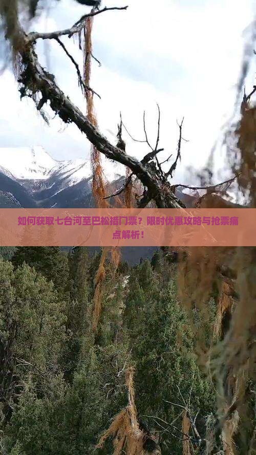 如何获取七台河至巴松措门票？限时优惠攻略与抢票痛点解析！