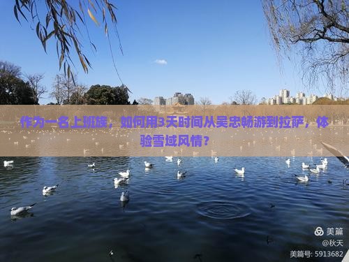 作为一名上班族，如何用3天时间从吴忠畅游到拉萨，体验雪域风情？