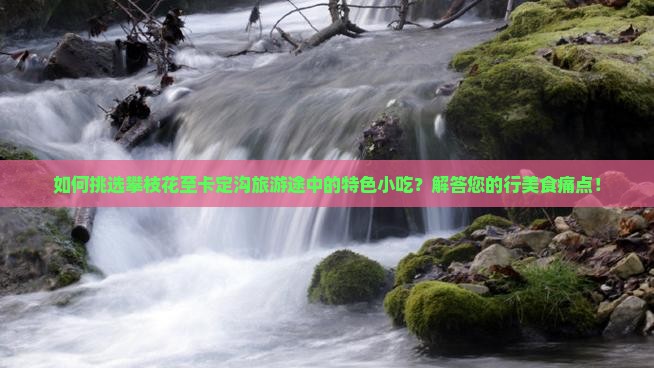如何挑选攀枝花至卡定沟旅游途中的特色小吃？解答您的行美食痛点！