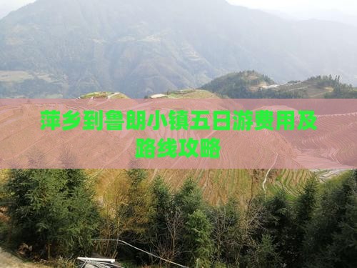 萍乡到鲁朗小镇五日游费用及路线攻略