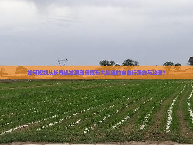 如何规划从长春出发到雅鲁藏布大峡谷的自由行路线与攻略？