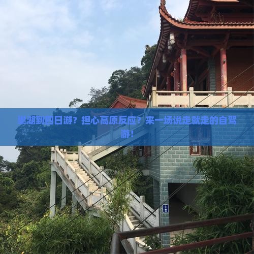 巢湖到四日游？担心高原反应？来一场说走就走的自驾游！