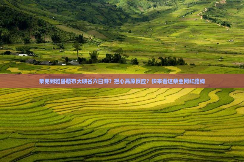 莱芜到雅鲁藏布大峡谷六日游？担心高原反应？快来看这条全网红路线