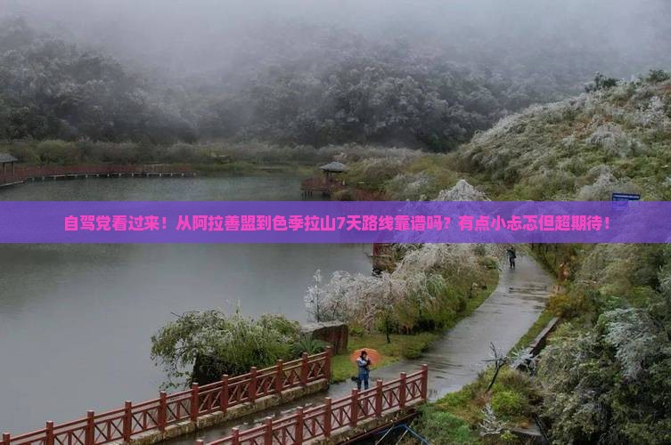 自驾党看过来！从阿拉善盟到色季拉山7天路线靠谱吗？有点小忐忑但超期待！
