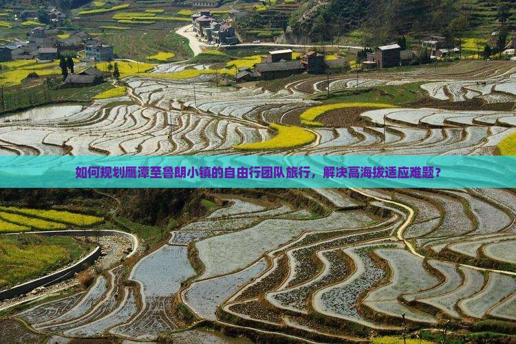 如何规划鹰潭至鲁朗小镇的自由行团队旅行，解决高海拔适应难题？