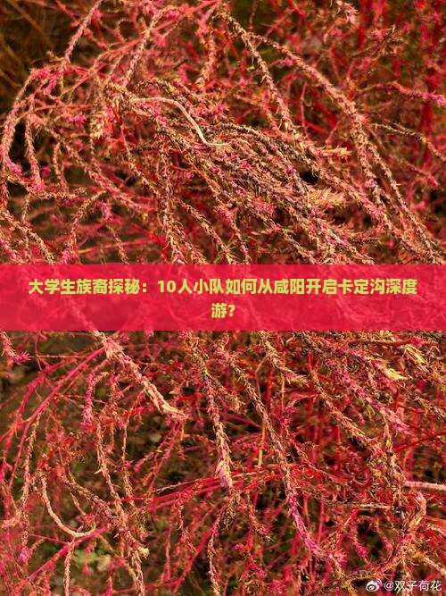 大学生族裔探秘：10人小队如何从咸阳开启卡定沟深度游？
