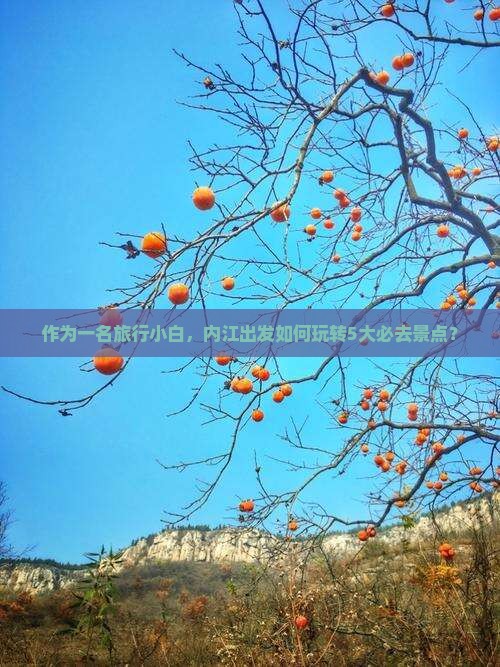 作为一名旅行小白，内江出发如何玩转5大必去景点？