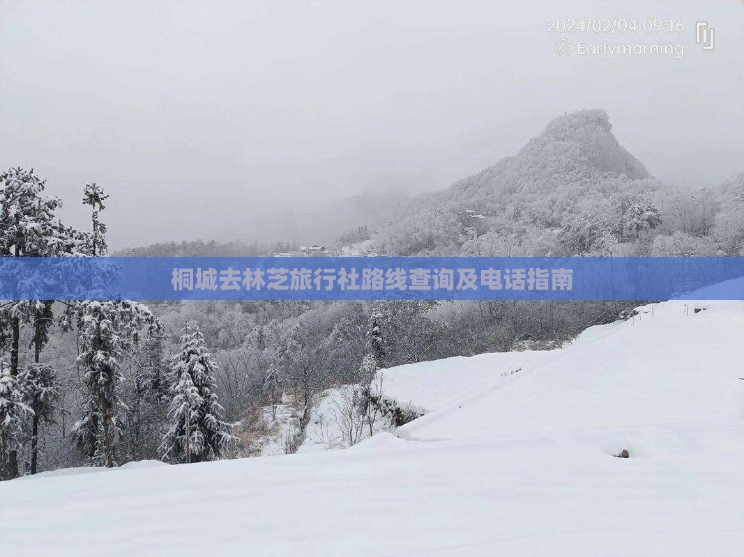 桐城去林芝旅行社路线查询及电话指南