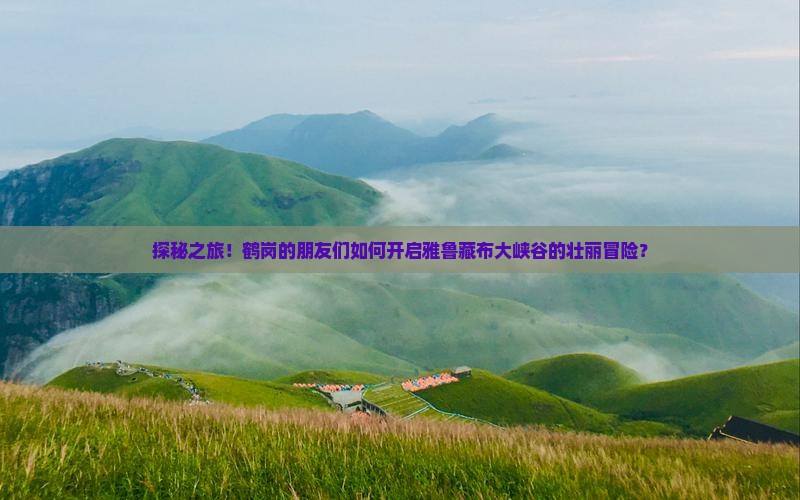 探秘之旅！鹤岗的朋友们如何开启雅鲁藏布大峡谷的壮丽冒险？