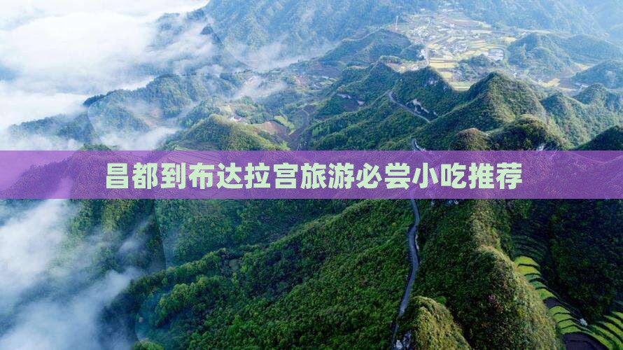 昌都到布达拉宫旅游必尝小吃推荐