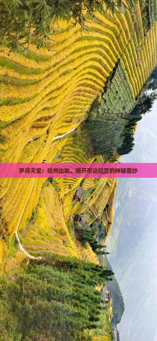 梦寻天堂：杭州出发，揭开布达拉宫的神秘面纱