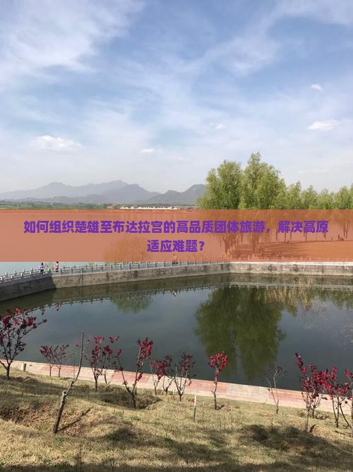 如何组织楚雄至布达拉宫的高品质团体旅游，解决高原适应难题？