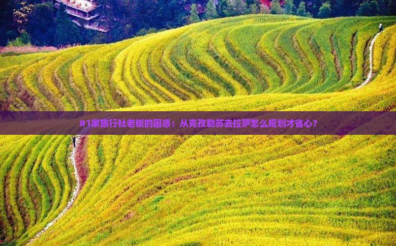 #1家旅行社老板的困惑：从克孜勒苏去拉萨怎么规划才省心？