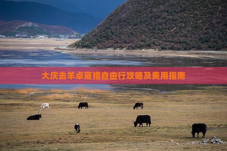 大庆去羊卓雍措自由行攻略及费用指南