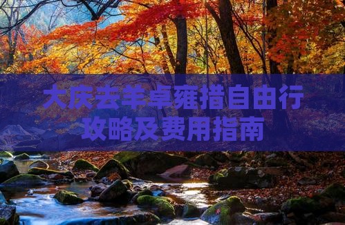 大庆去羊卓雍措自由行攻略及费用指南