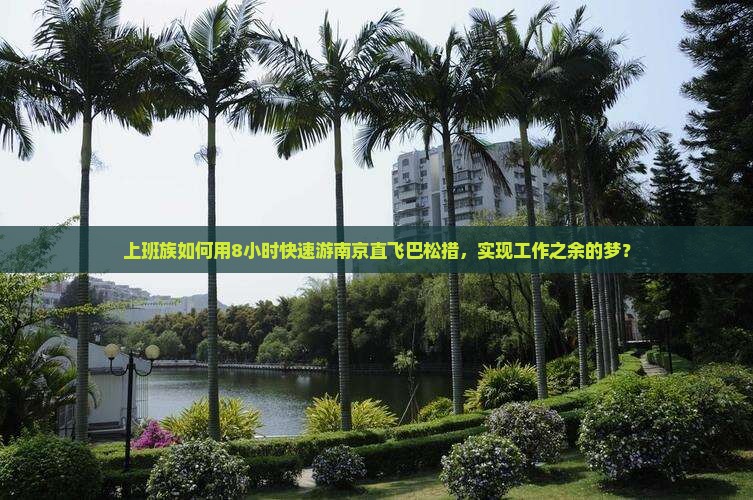 上班族如何用8小时快速游南京直飞巴松措，实现工作之余的梦？