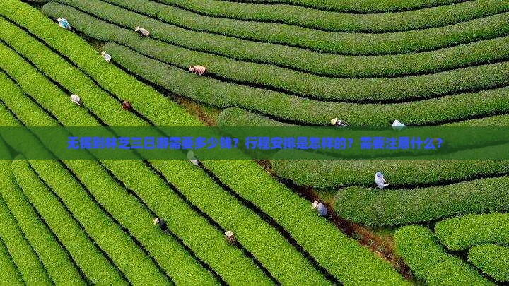 无锡到林芝三日游需要多少钱？行程安排是怎样的？需要注意什么？