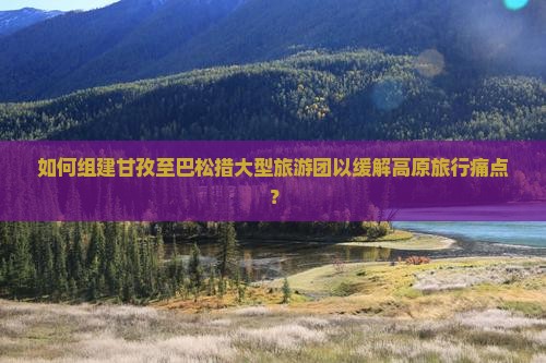 如何组建甘孜至巴松措大型旅游团以缓解高原旅行痛点？